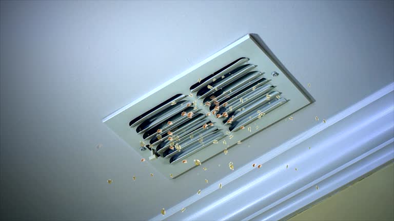 Best Air Duct Cleaning Company Near Me  in Maywood, NJ