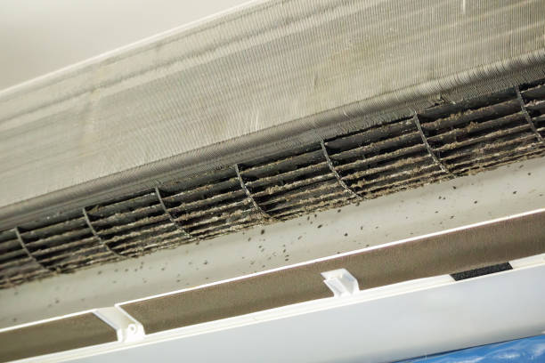 Best Ventilation Cleaning Services  in Maywood, NJ